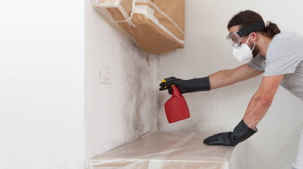 Professional Mold Removal technician working in Arlington, VA