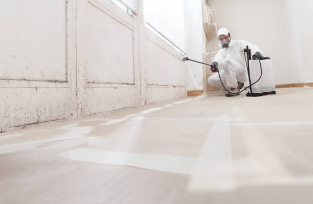 24/7 Emergency Mold Removal experts in Arlington, VA