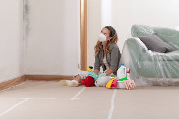 Trusted Bathroom Mold Removal service in Arlington, VA - Cheap Mold Removal
